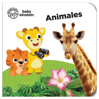 💛👶 Mi Primera Biblioteca 📚✨ Baby Einstein  🧠💫  | 12 Libritos Educativos de cartón | ¡Primeras palabras, alfabeto, números y mucho más!🧸🌈